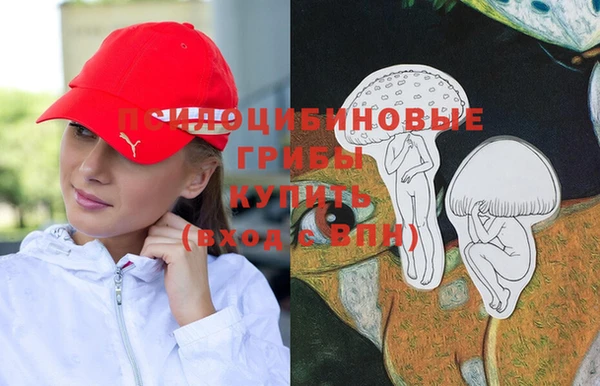 а пвп мука Инта