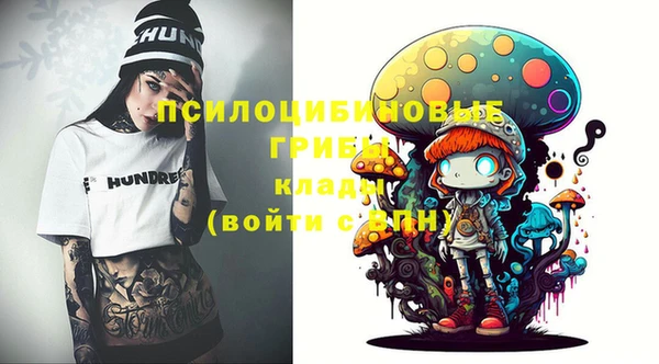 а пвп мука Инта