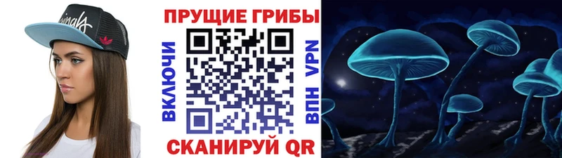 Псилоцибиновые грибы мицелий  Купить закладки  Афипский 